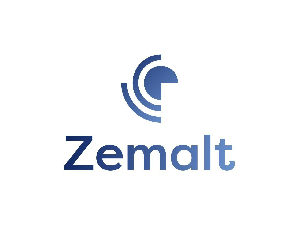 zemalt digital marketing